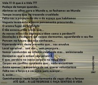 /album/a-minha-cidade-natal/sentindo-a-vida-jpg/